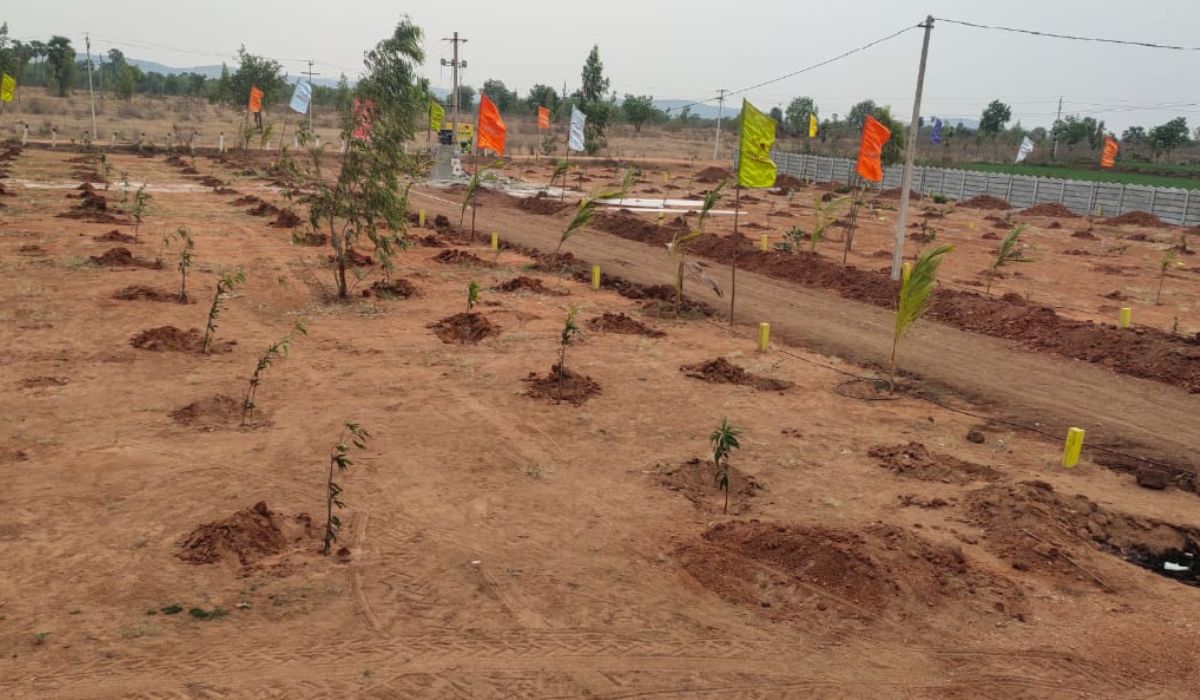 Agricultural Lands